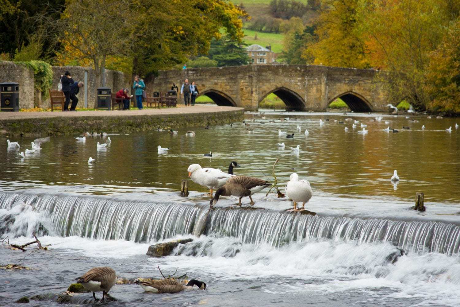 Bakewell