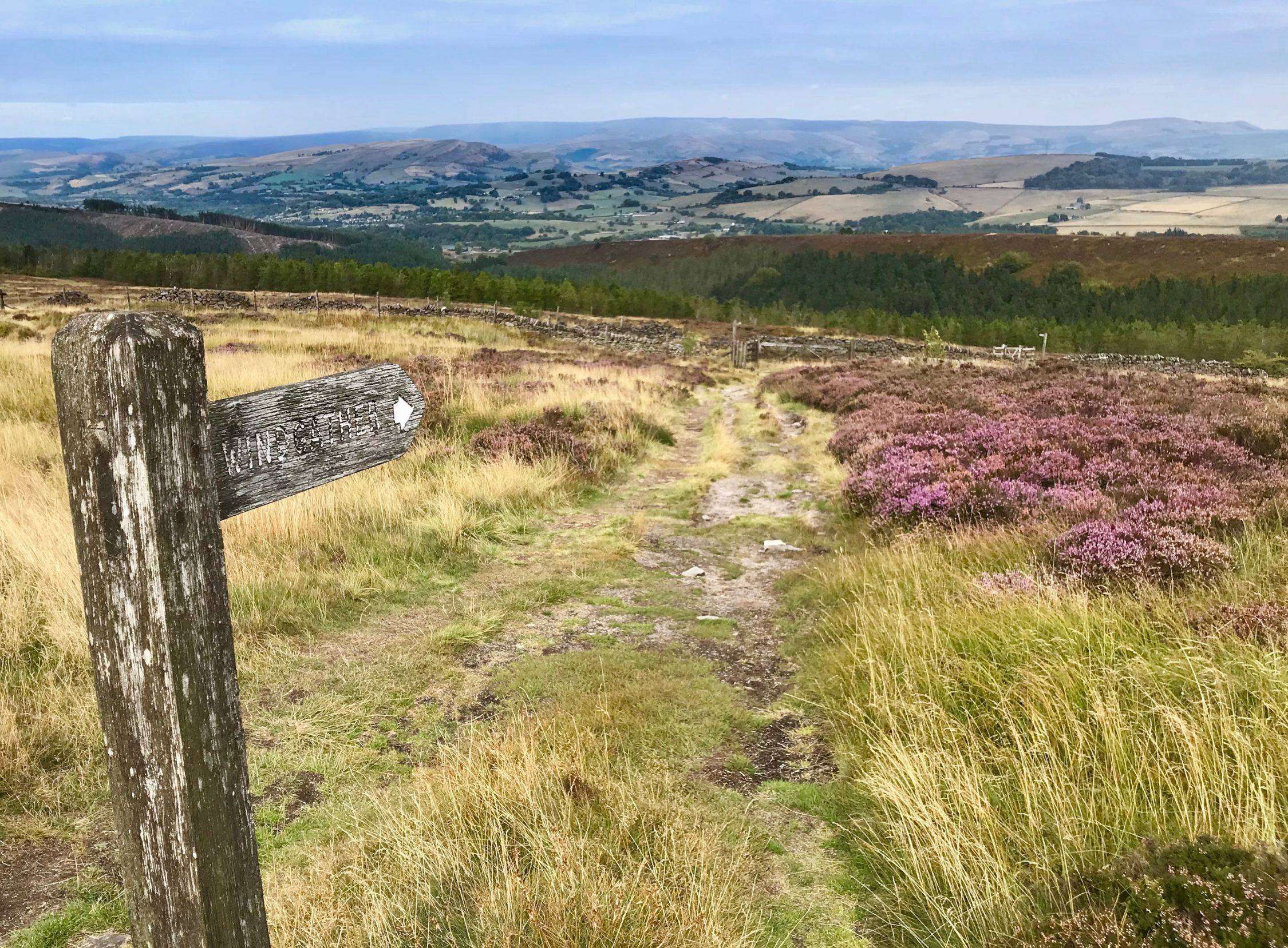 Shining Tor walk