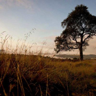 YHA Hathersage