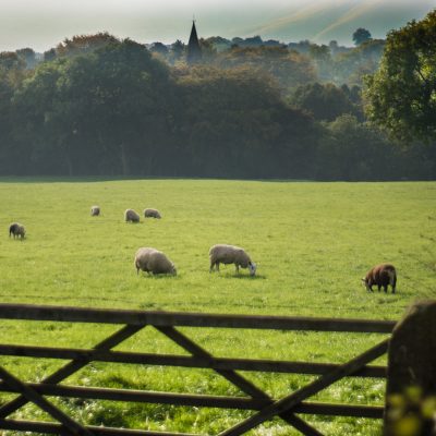 Edale