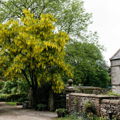 Biggin Hall Country House Hotel and Restaurant