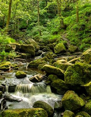 Waterfalls and Woodlands Photography Walk