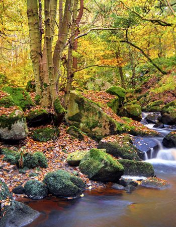 Waterfalls and Woodlands Photography Walk