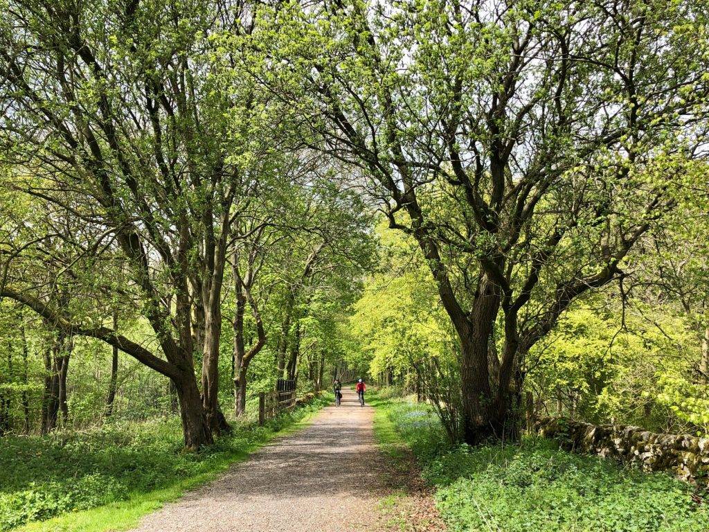 A Family Bike Ride – Circular Trail from Parsley Hay