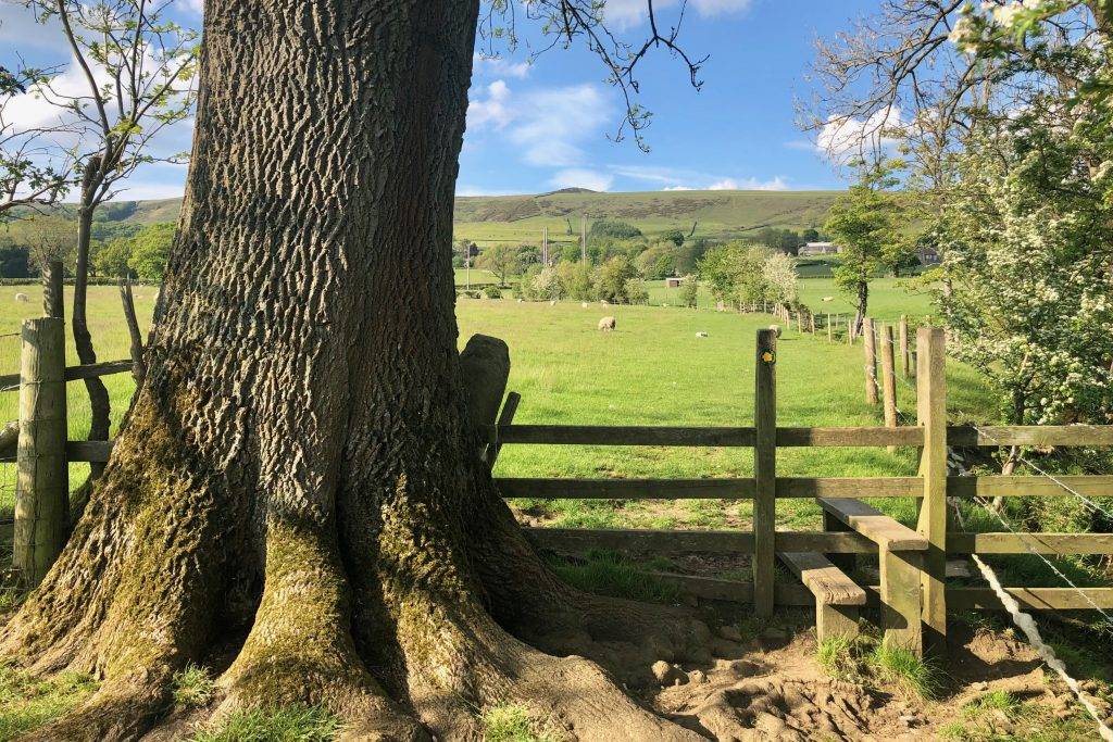 Peak District Pub Walks