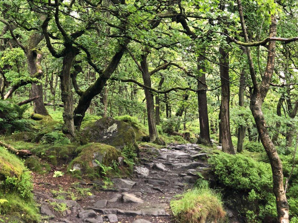 Padley Gorge and Surprise View (4.5 miles)