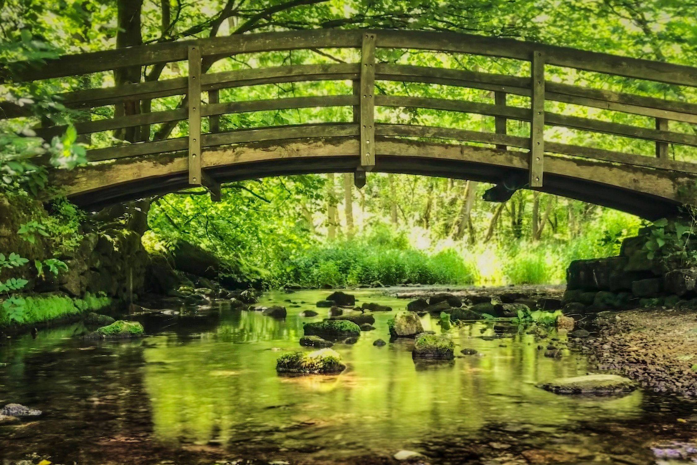 Youlgreave via Lathkill Dale walk