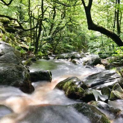 Padley Gorge