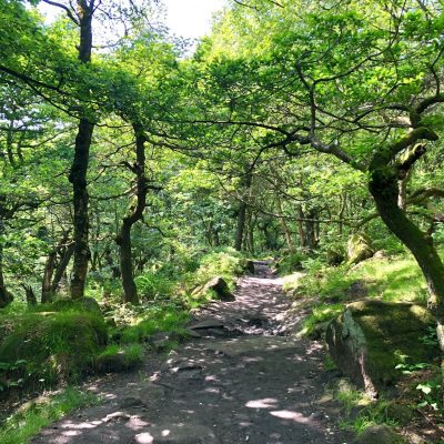 Padley Gorge