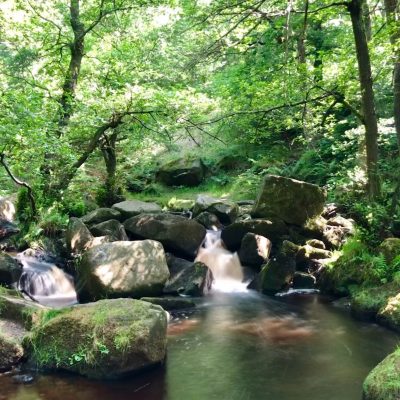 Padley Gorge