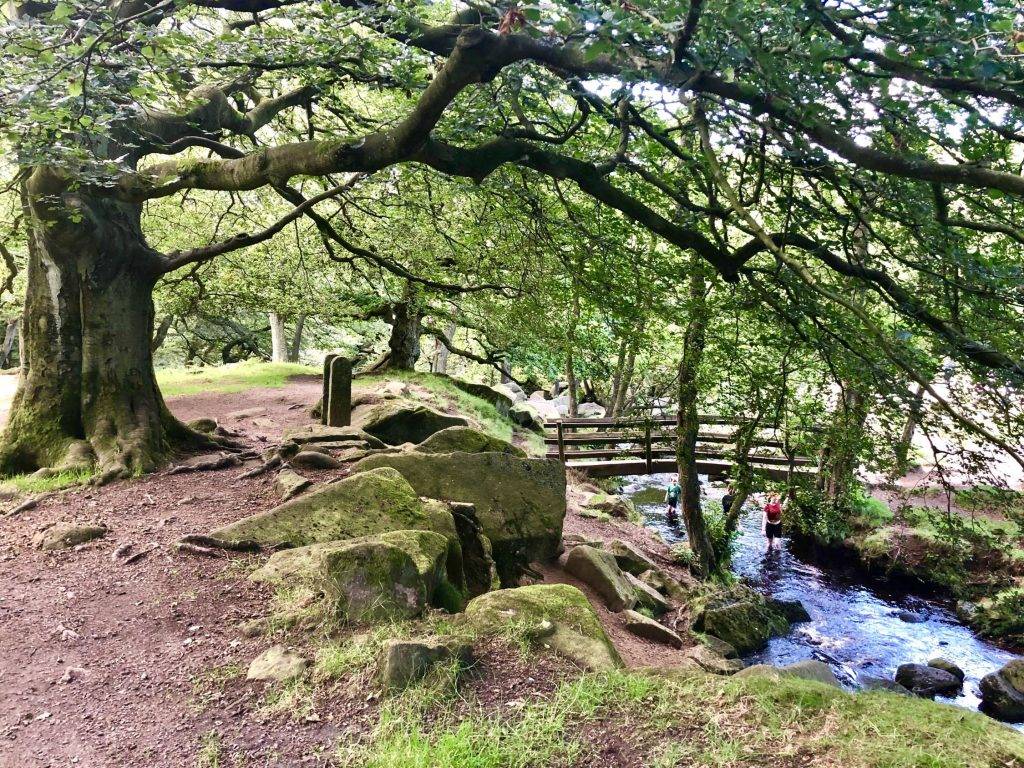 Kids’ Walk: Padley Gorge (2 miles)