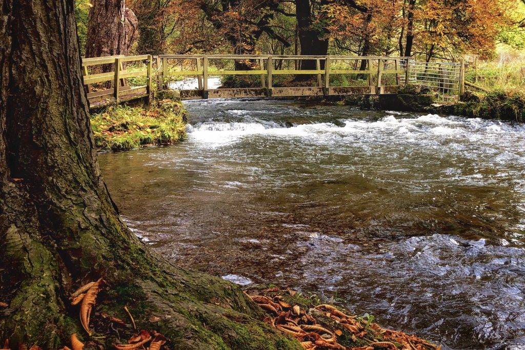 Hartington Dales Walk (5.4 miles)