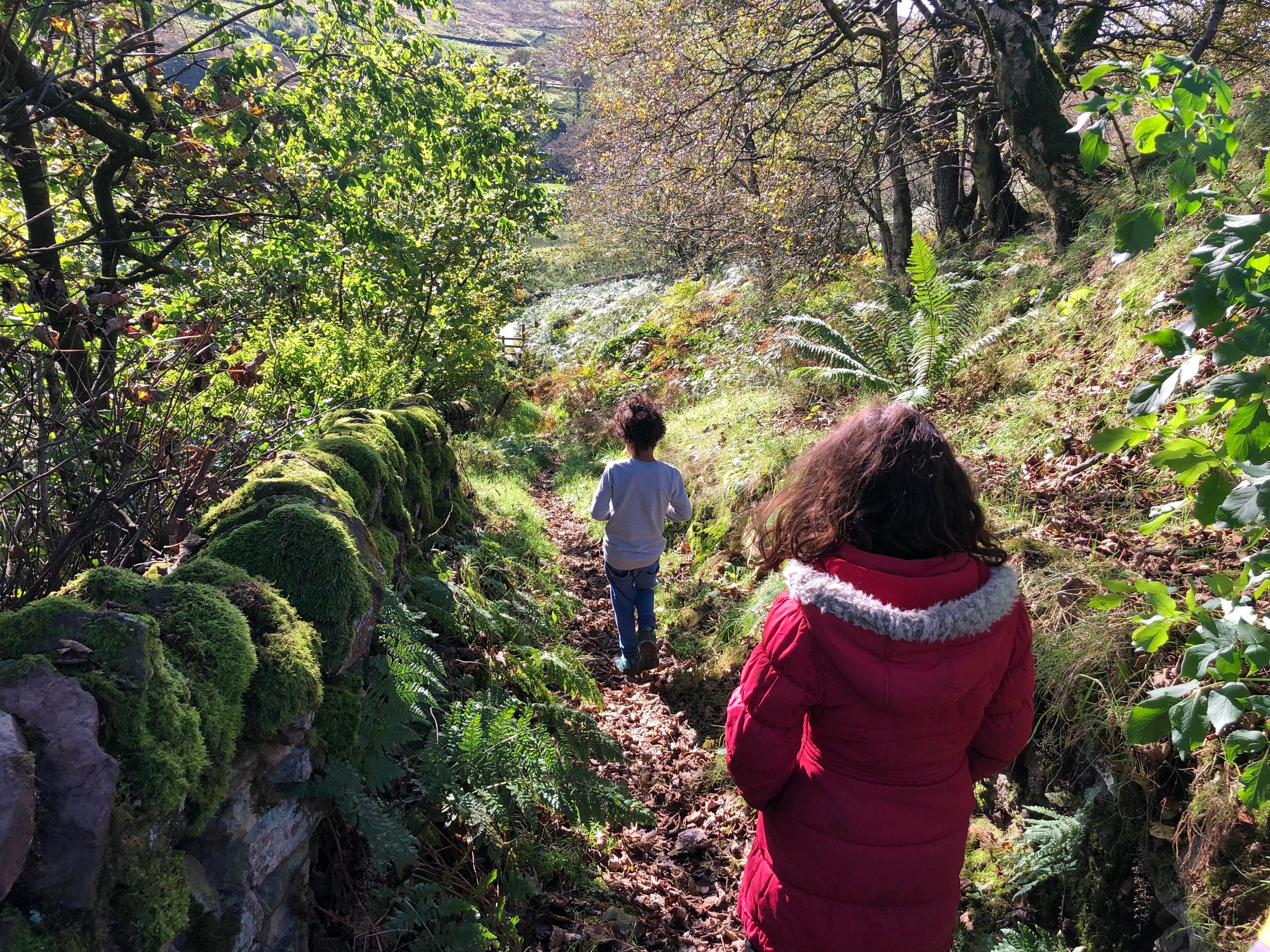 Kids’ Walk: Three Shires Head