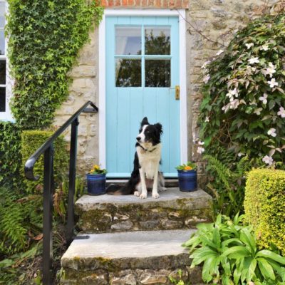 Canine Cottages