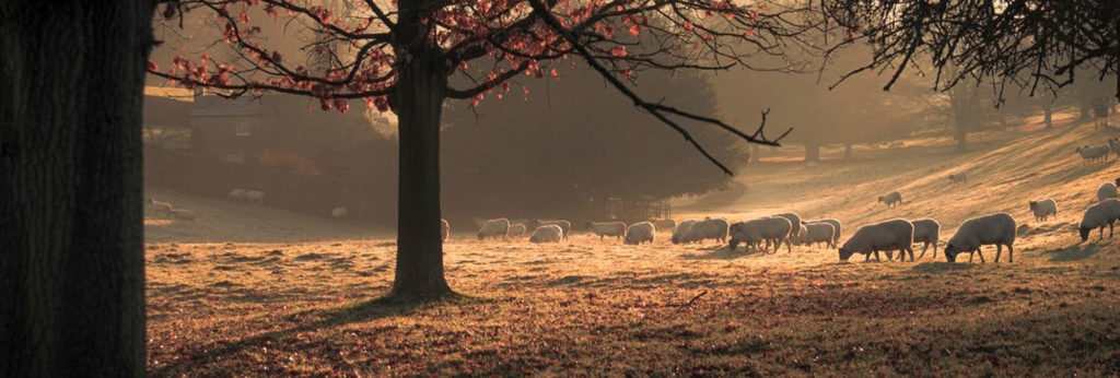 Peak District Top 5 Photos by Peter Simons Photography