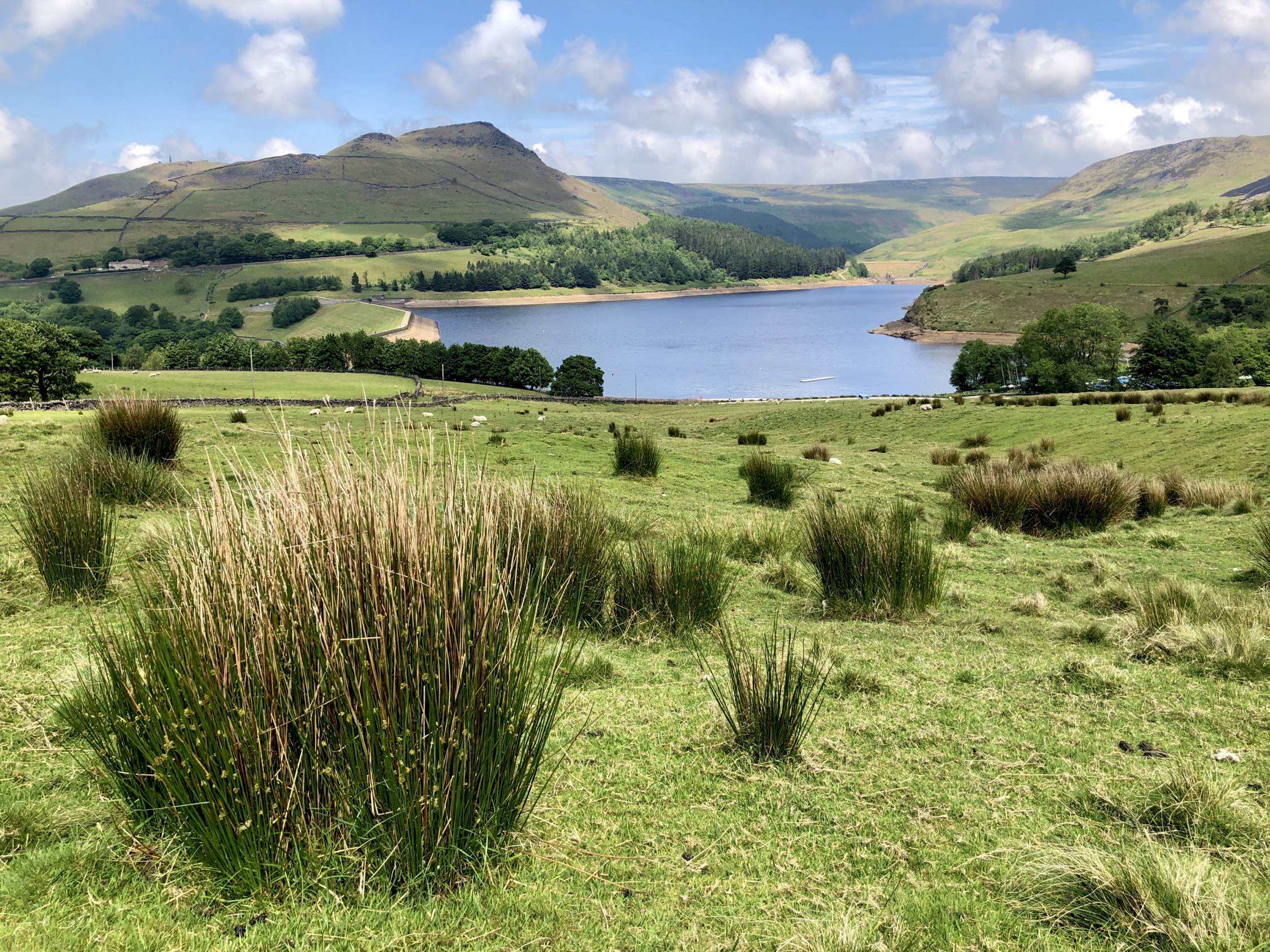 Beautiful Dove Stone Reservoir Walk