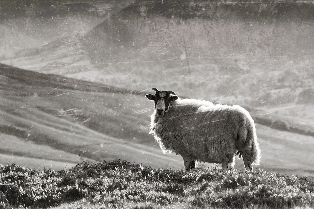 The Peak District - Archive Film (1954) 5