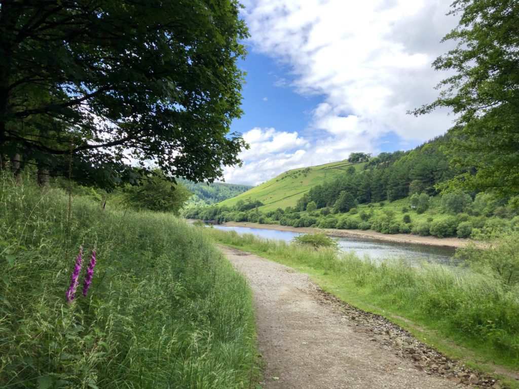 The Secret Side of Ladybower Walk (8.1 miles)