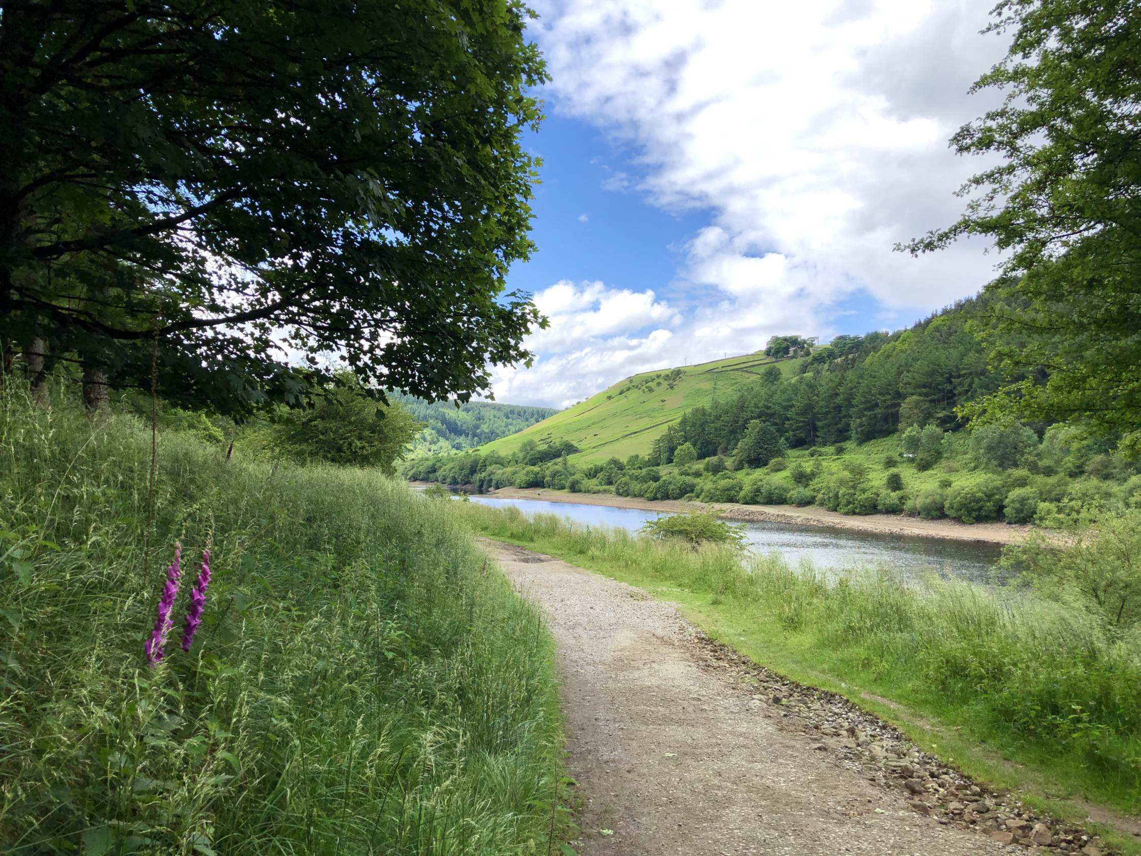 The Secret Side of Ladybower Walk (8.1 miles) 5