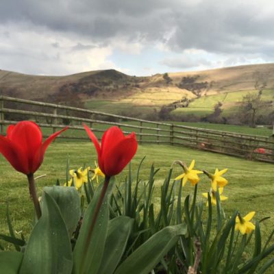 Cotefield Farm Cottages