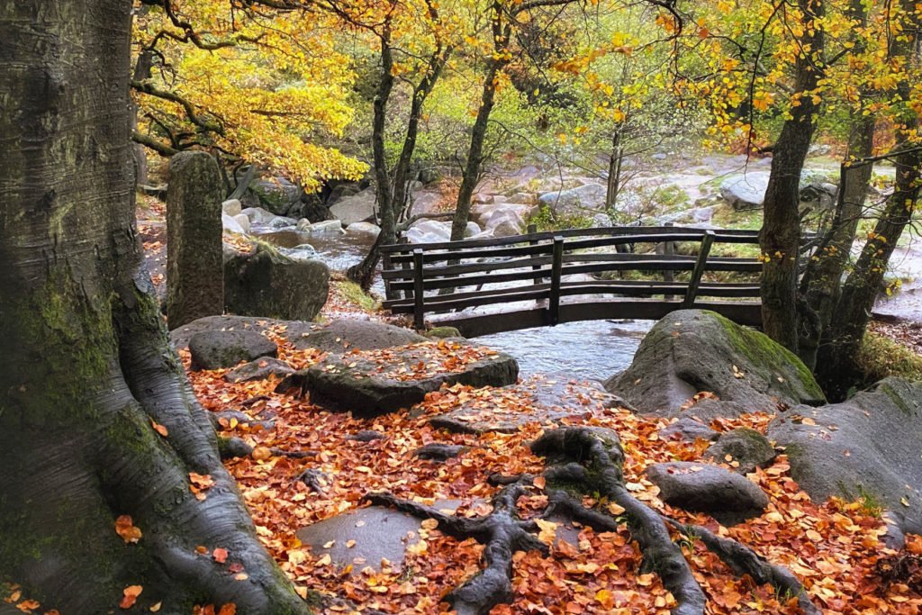 70 Best Days Out in the Peak District: Padley Gorge