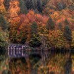 Autumn in the Peak District