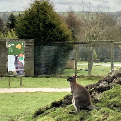 Peak Wildlife Park