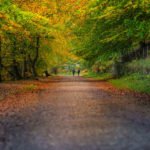 fullres_PSP001_Derwent_Reservoir_In_Autumn