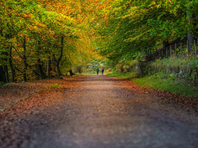 Top 5 Autumn Peak District Walks