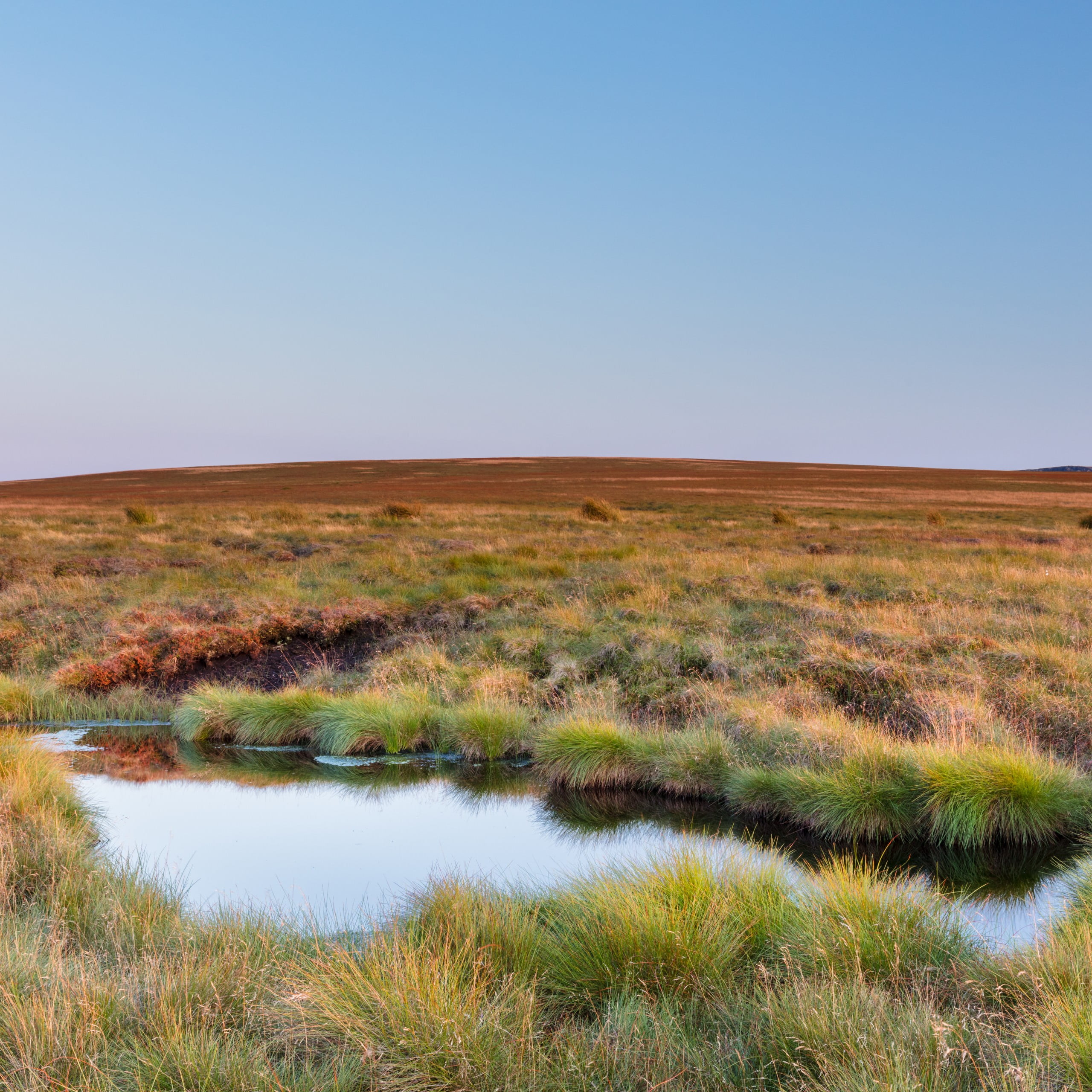 Carbon Store - Moors for the Future